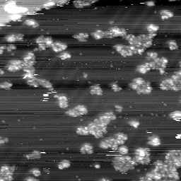 m10775_ori