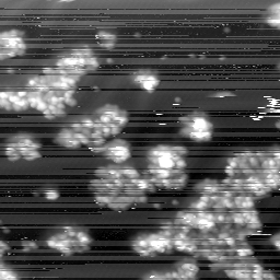 m10776_ori