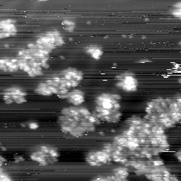 m10776_ori