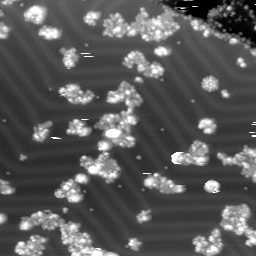 m10779_ori