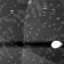 m10782_ori