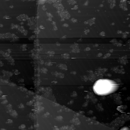 m10783_ori