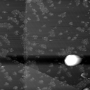 m10783_ori