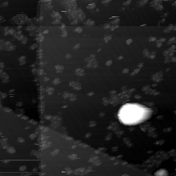m10784_ori