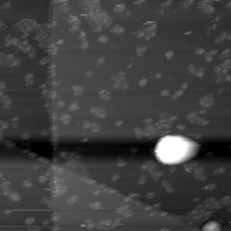 m10784_ori