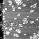 m10786_ori