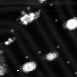 m10787_ori