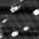 m10787_ori