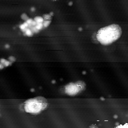 m10788_ori