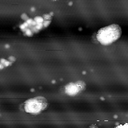 m10788_ori