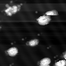 m10789_ori