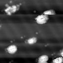 m10789_ori