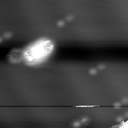 m10790_ori