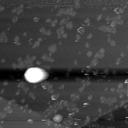 m10792_ori