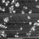 m10794_ori