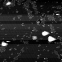 m10795_ori