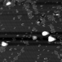 m10795_ori