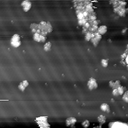 m10796_ori