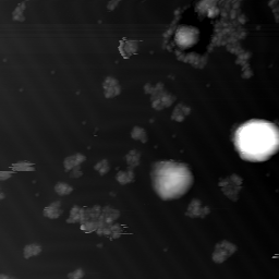 m10797_ori