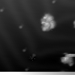 m10798_ori