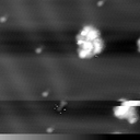 m10798_ori