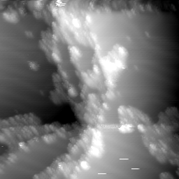 m11784_ori