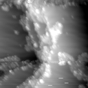 m11784_ori