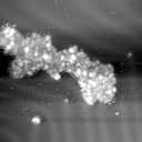 m11791_ori