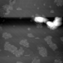 m11796_ori