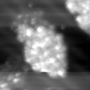 m11798_ori