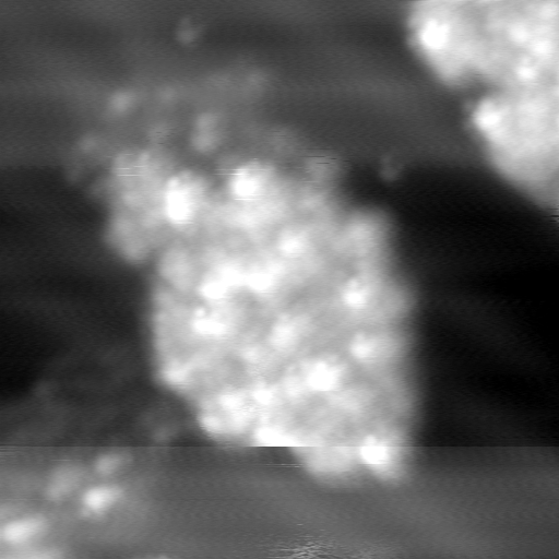 m11798_ori