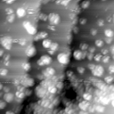 m12021_ori