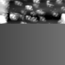m12024_ori