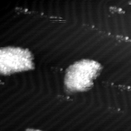 m12029_ori