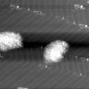 m12029_ori