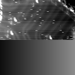 m12036_ori
