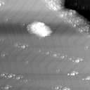 m12039_ori