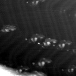 m12041_ori