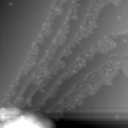 m12048_ori