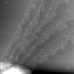 m12048_ori