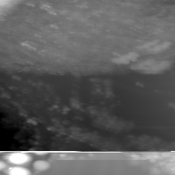 m12057_ori