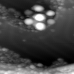 m12058_ori