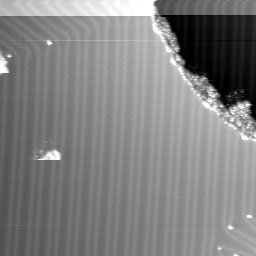 m12061_ori
