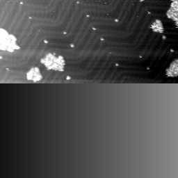 m12064_ori