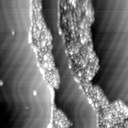 m12068_ori
