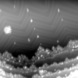 m12071_ori