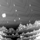 m12071_ori