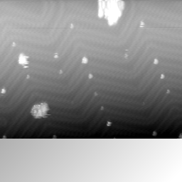 m12072_ori