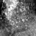 m12462_ori