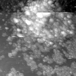 m12465_ori